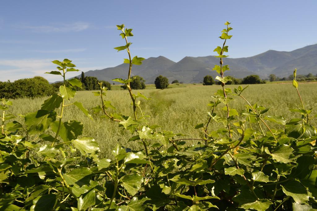 B&B Glicine E Luna Cascina Bagian luar foto